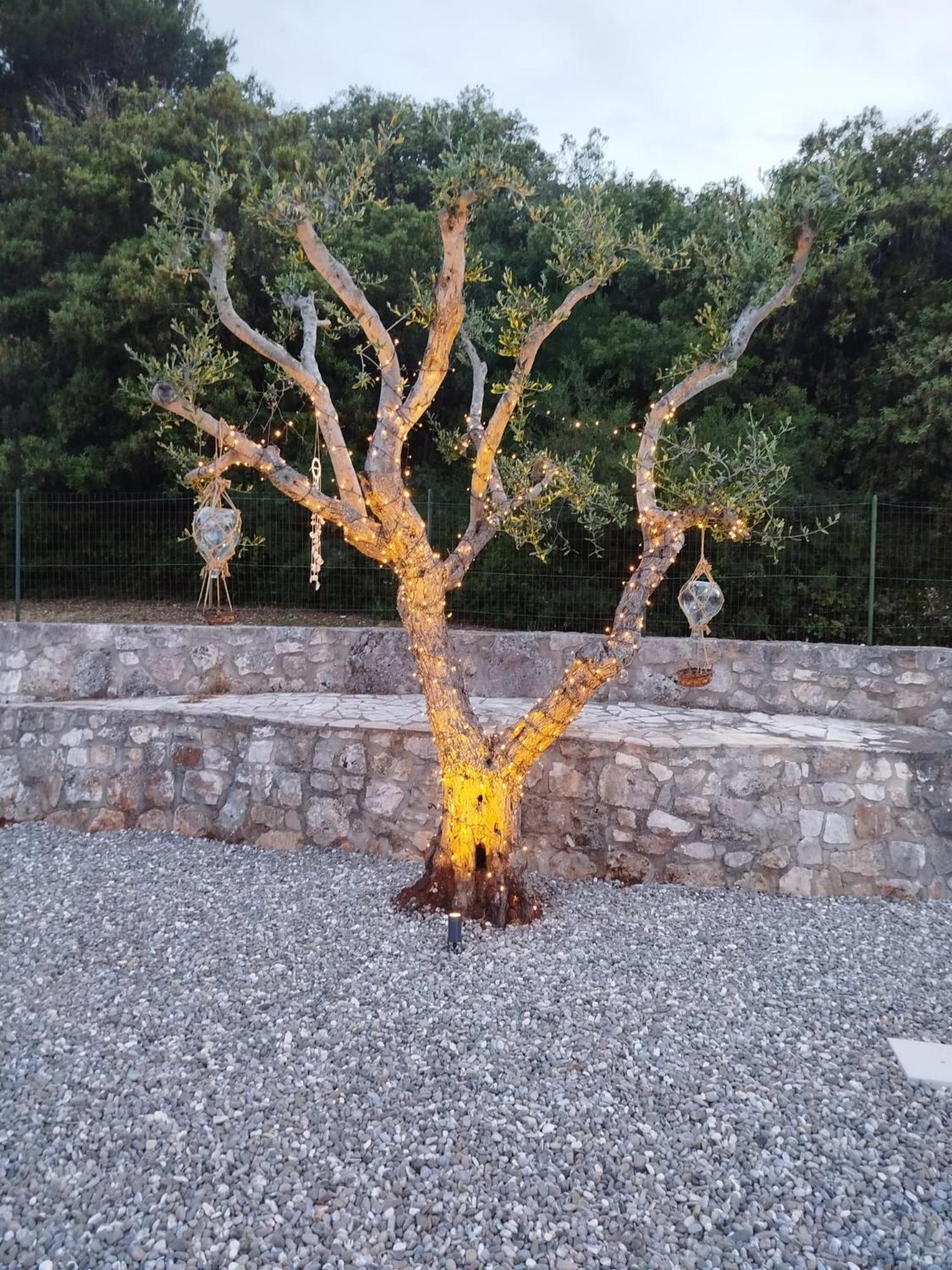 סלבה די פאסנו Villa Bagorda מראה חיצוני תמונה
